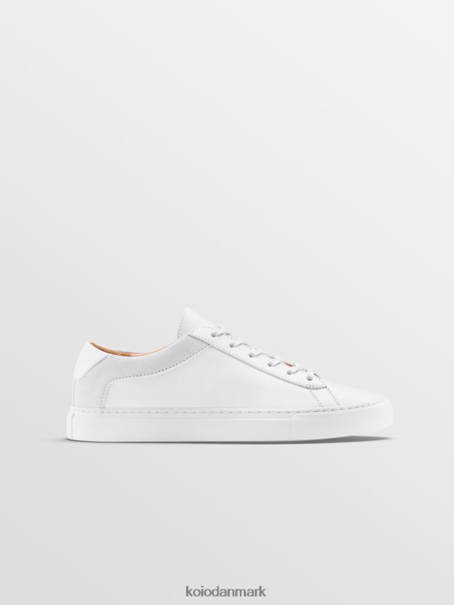 KOIO capri avorio sko Mænd 4P02B3