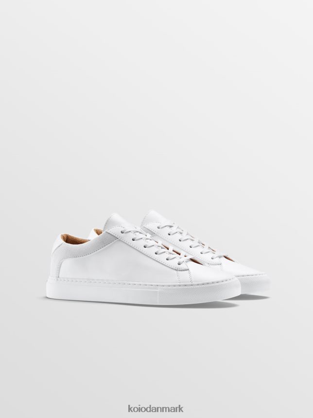 KOIO capri avorio sko Mænd 4P02B3