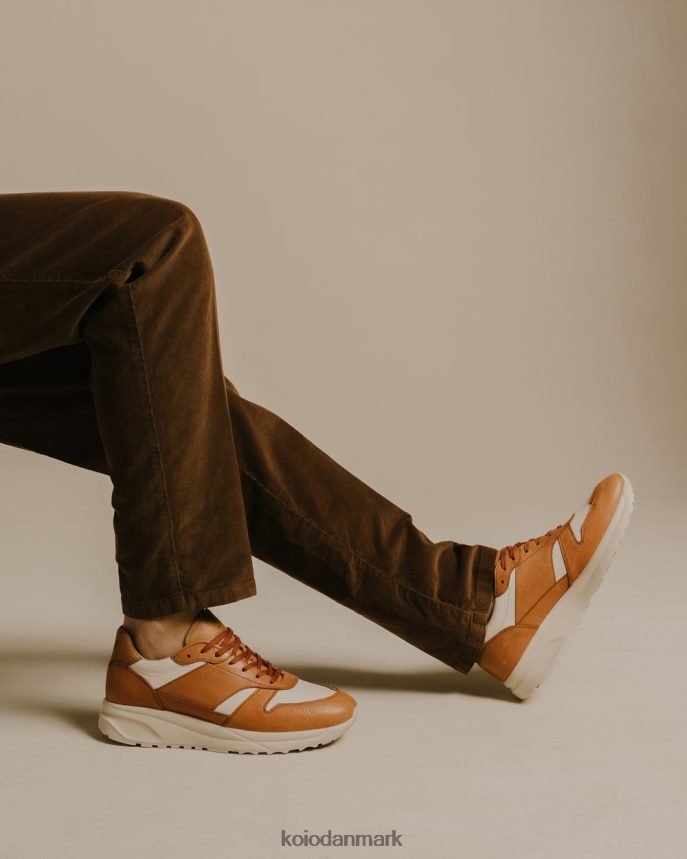 KOIO volterra Ræv sko Mænd 4P02B56