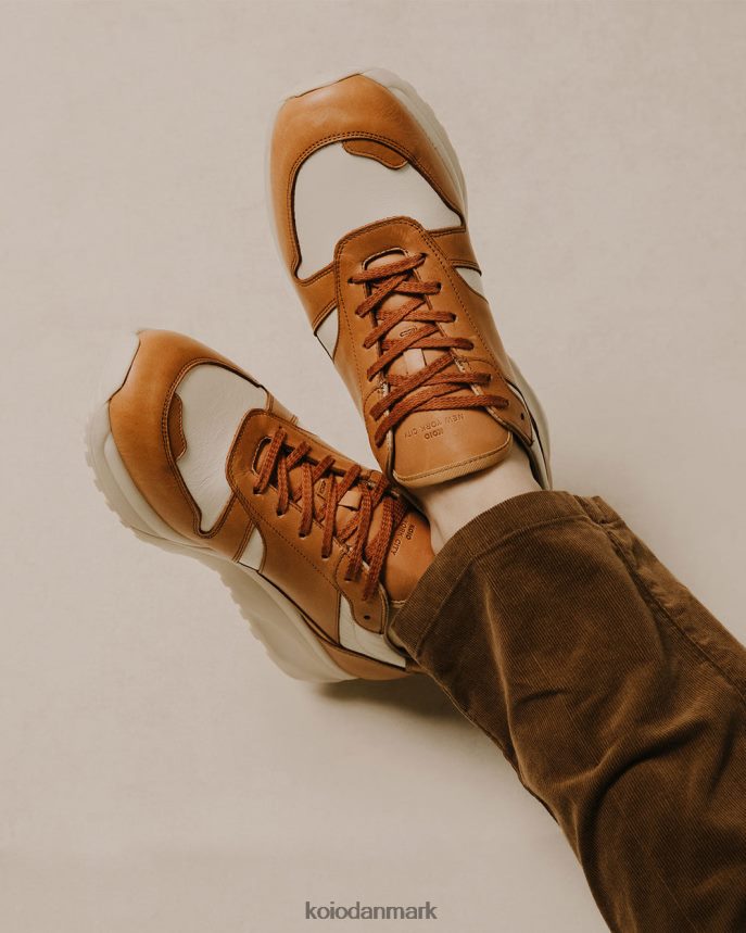 KOIO volterra Ræv sko Mænd 4P02B56