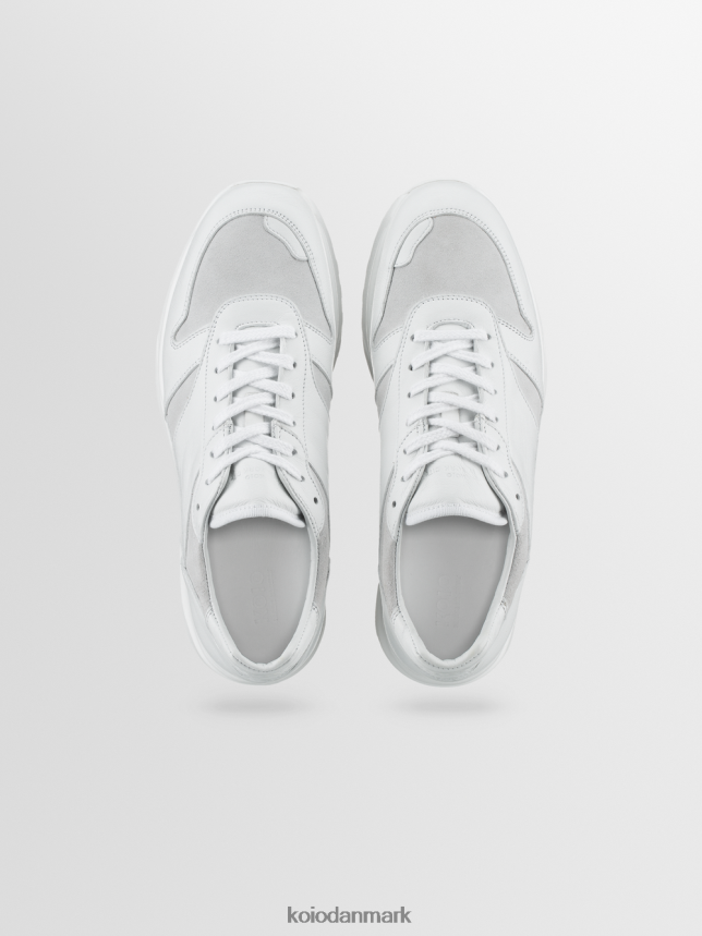 KOIO volterra avorio sko Mænd 4P02B55